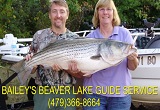Striper fishing guide service